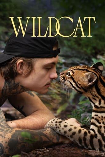 Wildcat Image