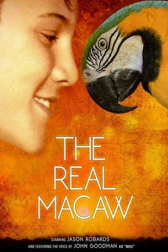 The Real Macaw Image
