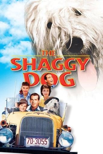The Shaggy Dog Image