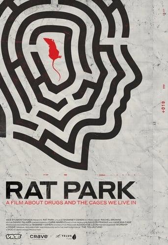 Rat Park Image
