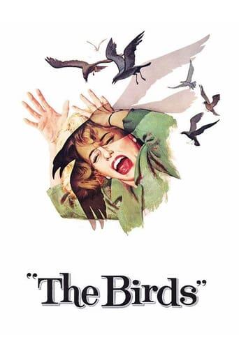 The Birds Image