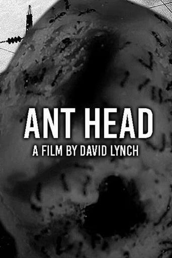 Ant Head Image