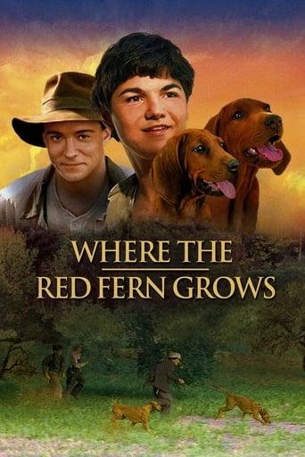 Where the Red Fern Grows Image