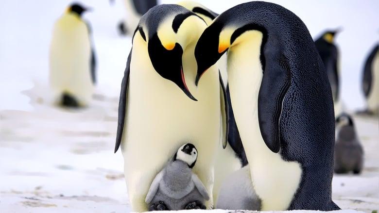 Penguins: Spy in the Huddle image