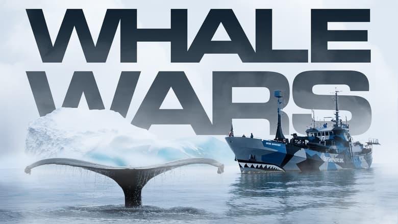 Whale Wars image