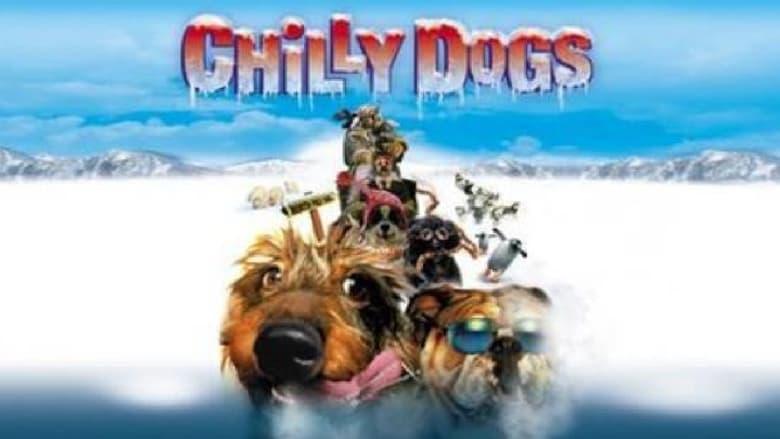 Chilly Dogs image