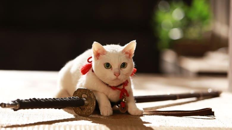 Samurai Cat 2: A Tropical Adventure image