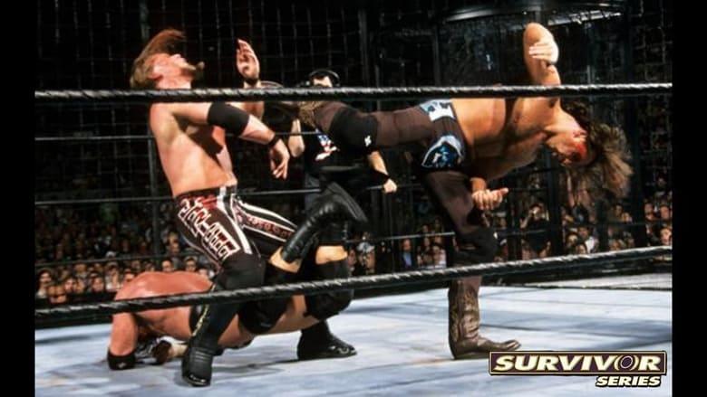 WWE Survivor Series 2002 image