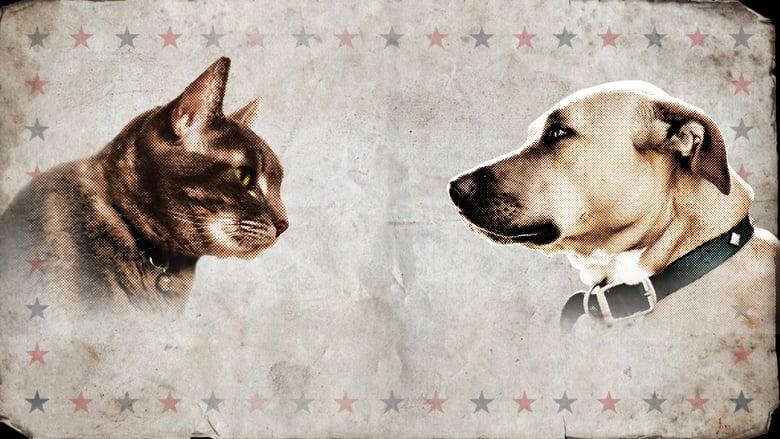 Cat vs. Dog image