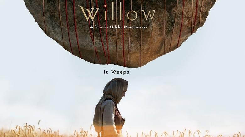 Willow image