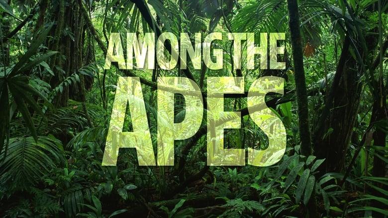 Among the Apes image