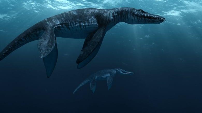 Sea Rex 3D: Journey to a Prehistoric World image