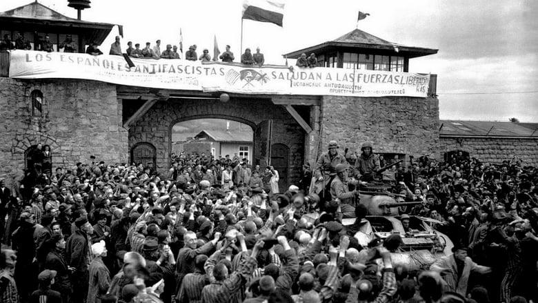 Los últimos españoles de Mauthausen image