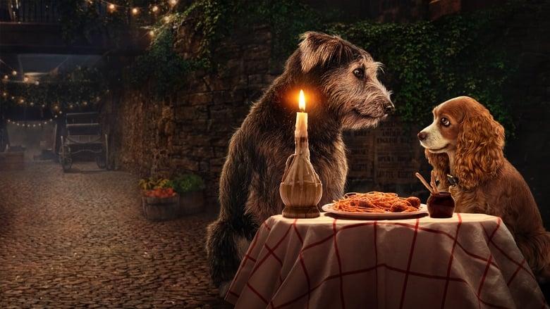 Lady and the Tramp image