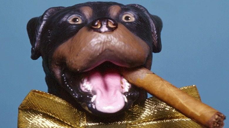 Late Night with Conan O'Brien: The Best of Triumph the Insult Comic Dog image