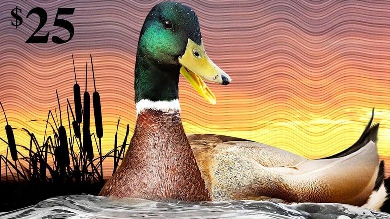 The Million Dollar Duck image