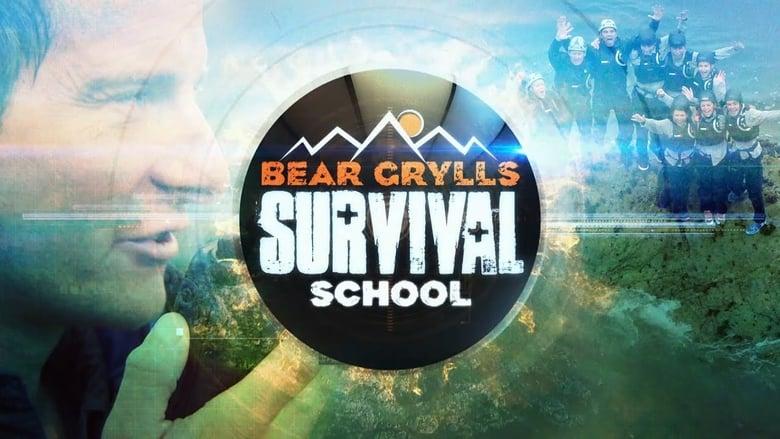 Bear Grylls: Survival School image