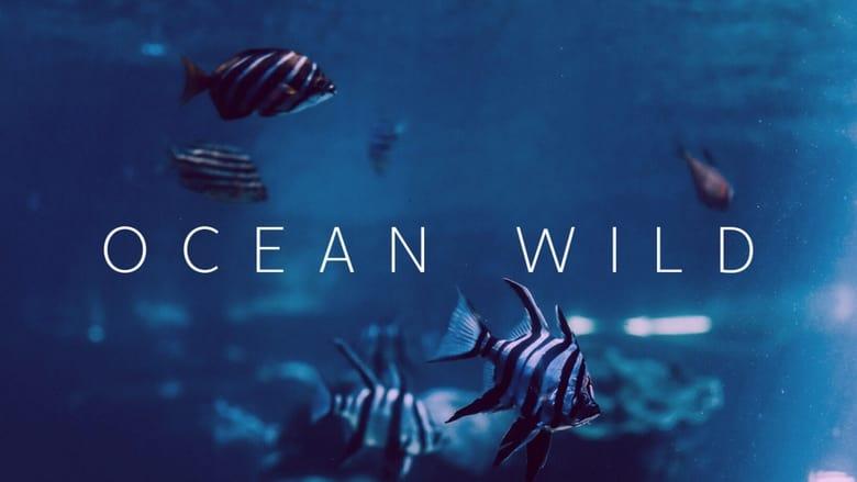 Ocean Wild image