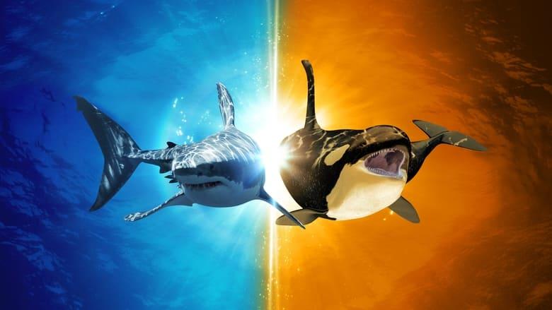 Killer Shark Vs. Killer Whale image