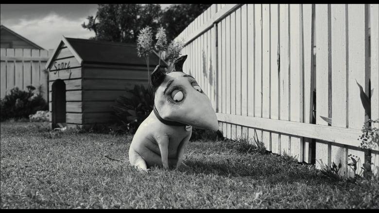 Miniatures in Motion: Bringing Frankenweenie to Life image