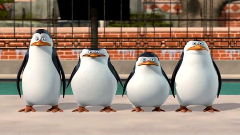 The Penguins of Madagascar: New to the Zoo image