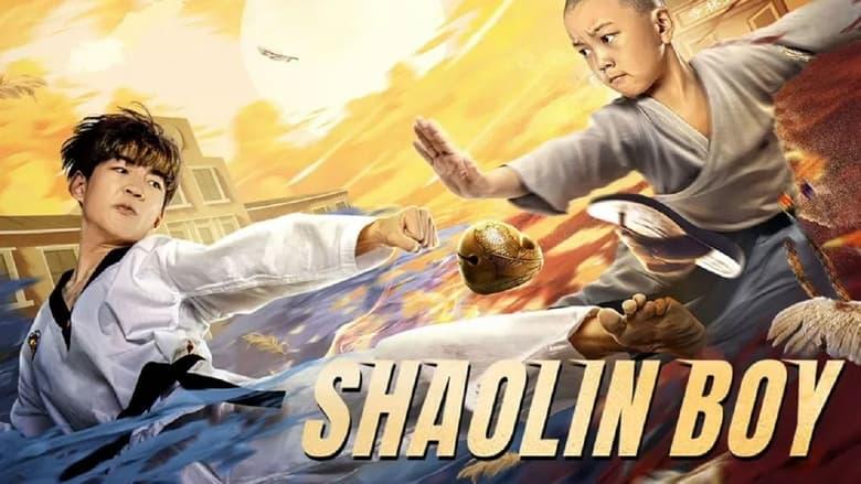 The Shaolin Boy image