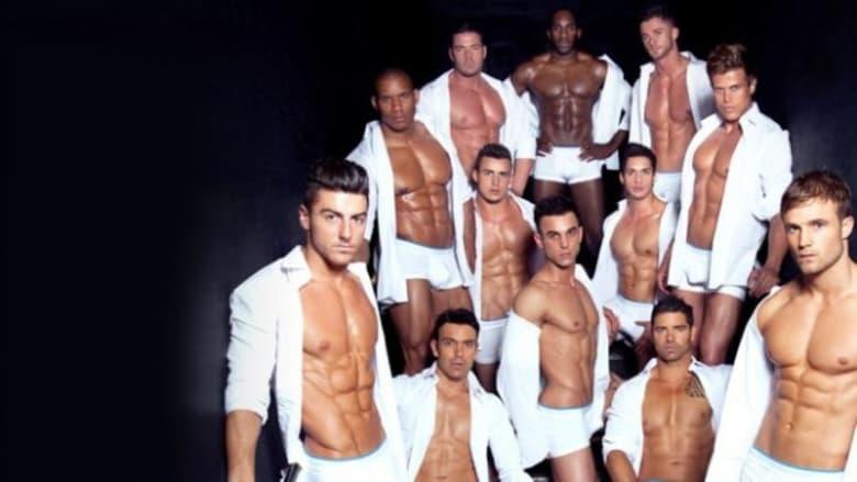 Confessions of a Male Stripper image