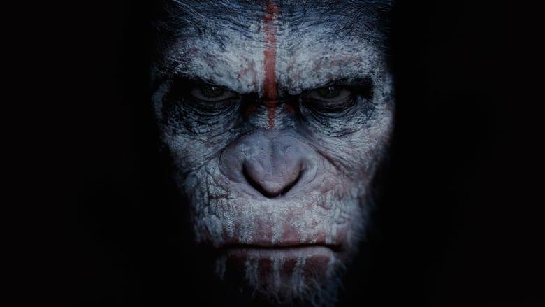Dawn of the Planet of the Apes image