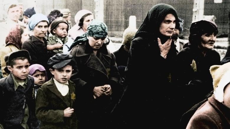 Auschwitz Untold in Color image