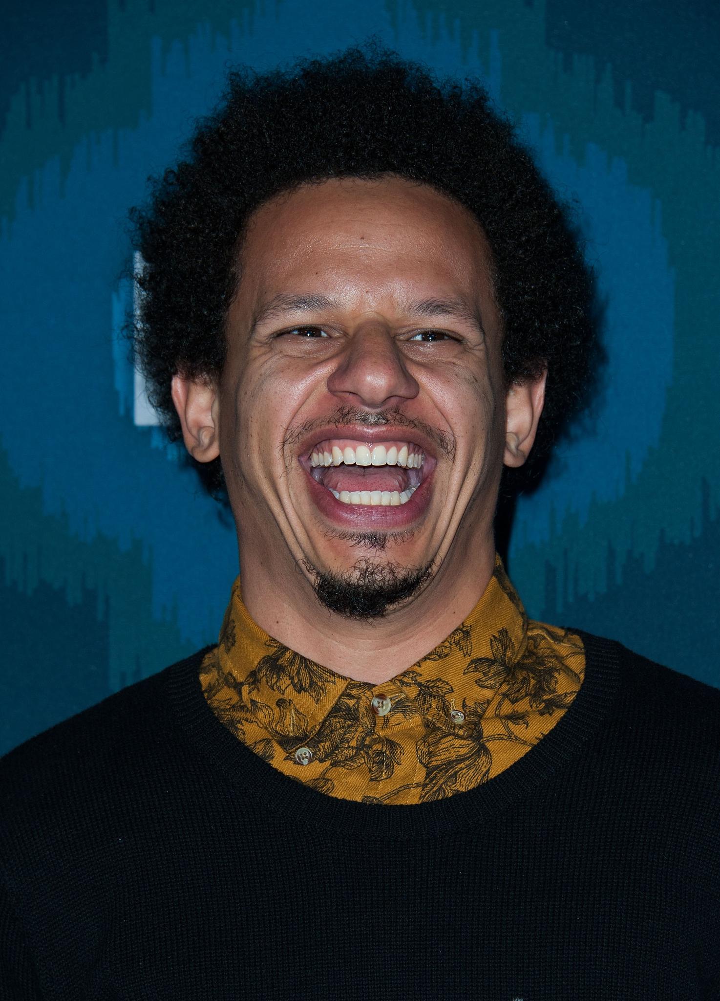 Eric André image